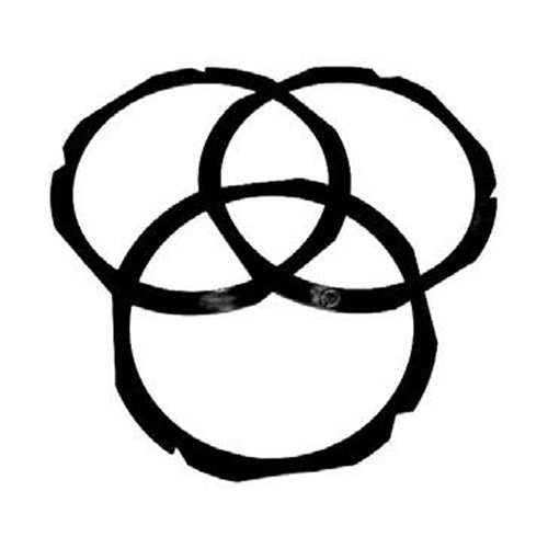 49-flex-frames 49-flex-frames